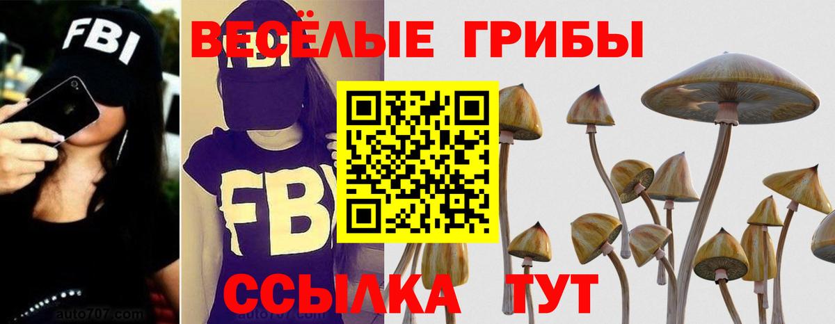 Псилоцибиновые грибы Cubensis Богородицк