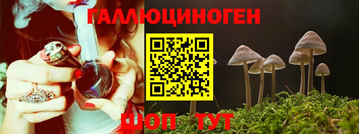 Богородицк  Псилоцибиновые грибы Magic Shrooms  что такое   Вход с VPN 